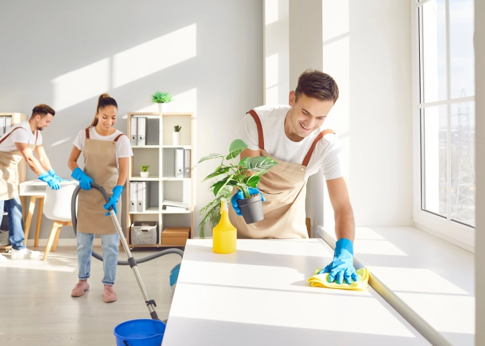 Limpieza de oficinas en Jerez de la Frontera 11408